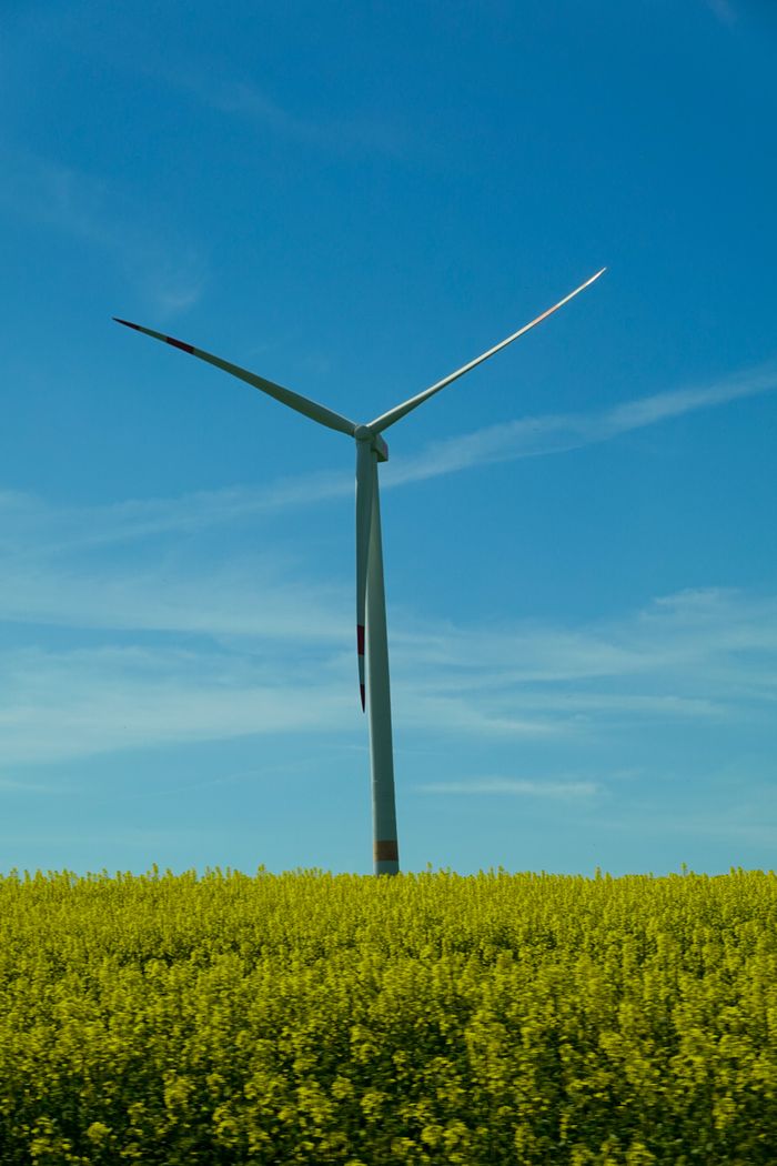 A wind turbine stands tall in a lush yellow field under a clear blue sky, showcasing renewable energy.